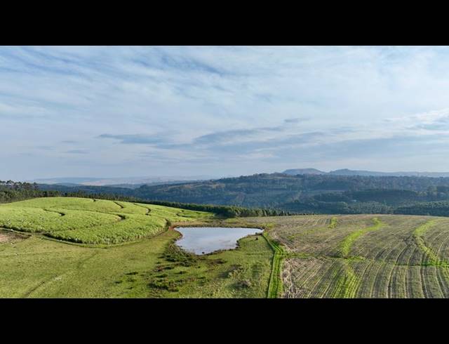 FARM FOR SALE IN MOUNT VERDE